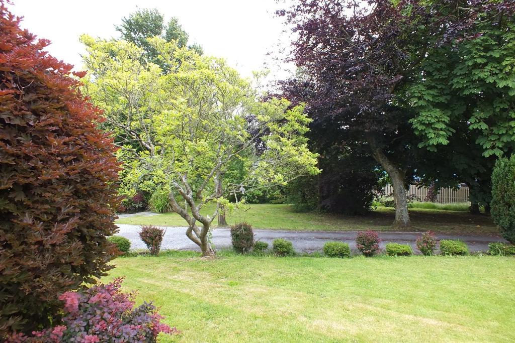 Llwyn Country House Llanelli Exterior photo